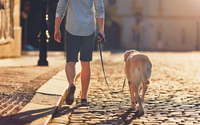 8 Benefits of Morning Walk